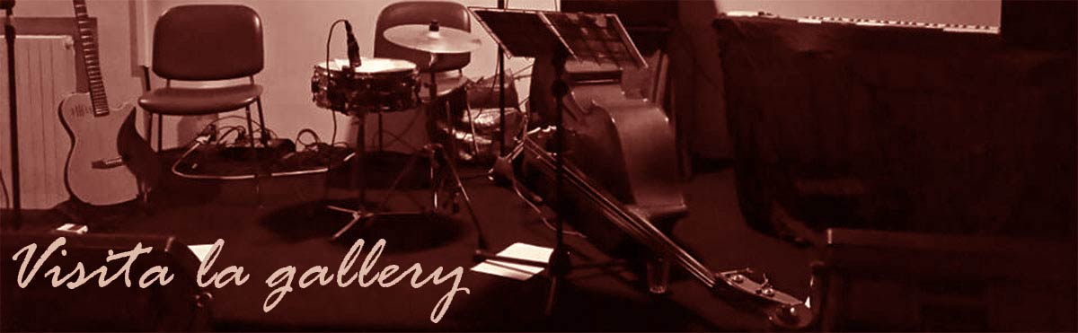 Visita la gallery dei concerti